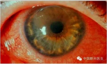 ���⾫���ۿƵ���ͼ��