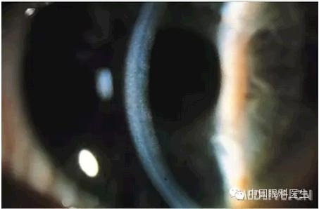 ���⾫���ۿƵ���ͼ��