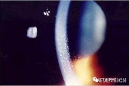 ���⾫���ۿƵ���ͼ��