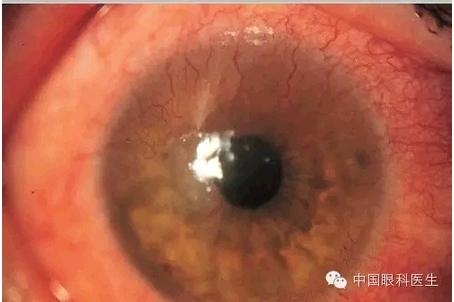 ���⾫���ۿƵ���ͼ��