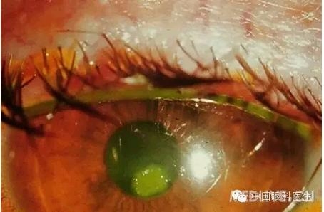 ���⾫���ۿƵ���ͼ��