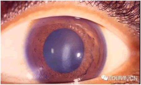 ���⾫���ۿƵ���ͼ��