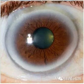 ���⾫���ۿƵ���ͼ��