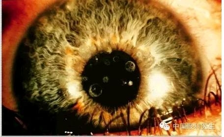 ���⾫���ۿƵ���ͼ��