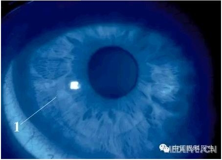 ���⾫���ۿƵ���ͼ��