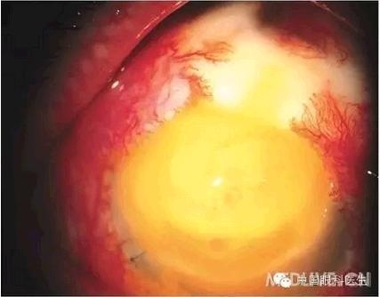 ���⾫���ۿƵ���ͼ��