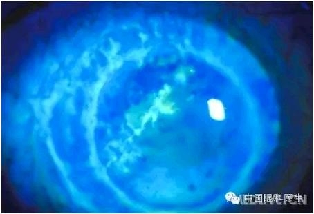 ���⾫���ۿƵ���ͼ��