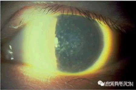 ���⾫���ۿƵ���ͼ��