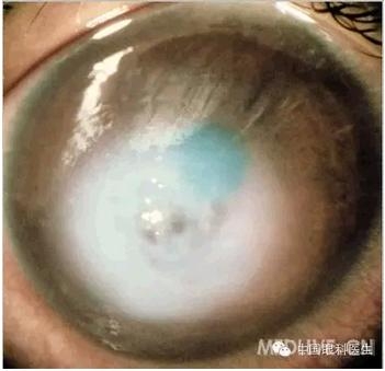 ���⾫���ۿƵ���ͼ��