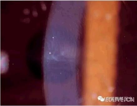 ���⾫���ۿƵ���ͼ��