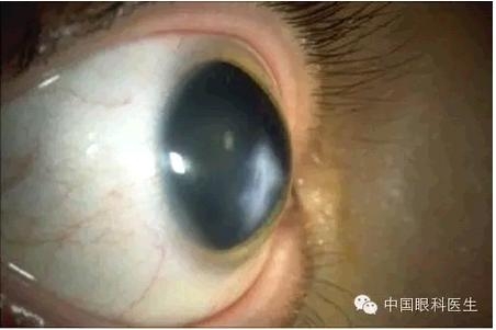 ���⾫���ۿƵ���ͼ��