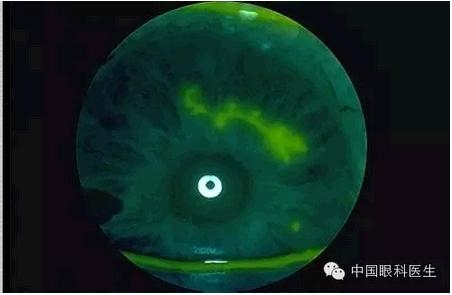 ���⾫���ۿƵ���ͼ��