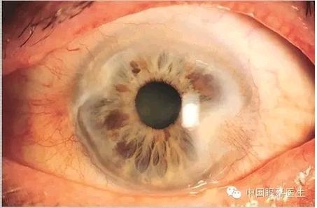 ���⾫���ۿƵ���ͼ��