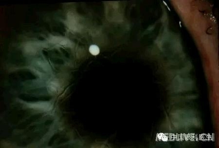 ���⾫���ۿƵ���ͼ��