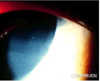 ���⾫���ۿƵ���ͼ��