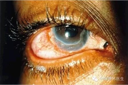 ���⾫���ۿƵ���ͼ��