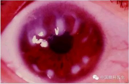 ���⾫���ۿƵ���ͼ��