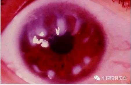 ���⾫���ۿƵ���ͼ��