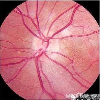 ���ò�����ͼƬ�������������ۿ�ҽ������Ȧ��������