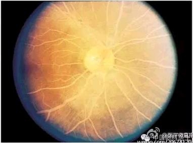 ���ò�����ͼƬ�������������ۿ�ҽ������Ȧ��������