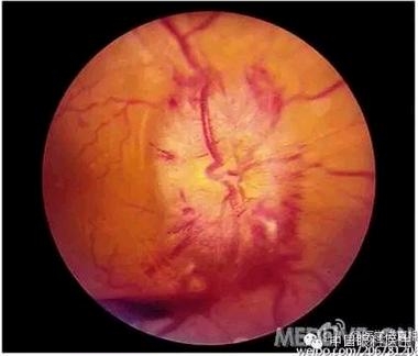 ���ò�����ͼƬ�������������ۿ�ҽ������Ȧ��������