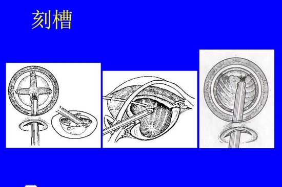 �����黯�����л�����������