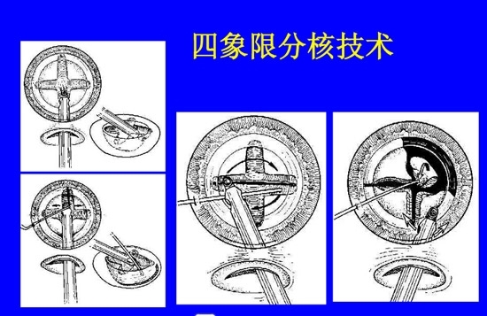 �����黯�����л�����������