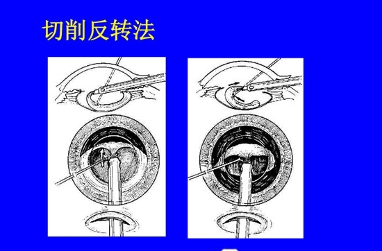 �����黯�����л�����������