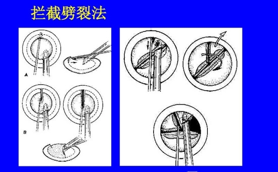 �����黯�����л�����������