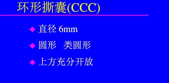 �����黯�����л�����������