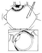 �����С���г�����ǰ�����С�����ȫ��ֱ��