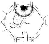 �����С���г�����ǰ�����С�����ȫ��ֱ��