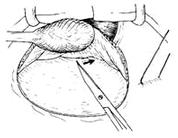 �����С���г�����ǰ�����С�����ȫ��ֱ��