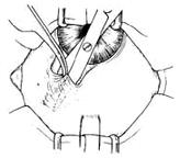 �����С���г�����ǰ�����С�����ȫ��ֱ��