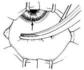 �����С���г�����ǰ�����С�����ȫ��ֱ��