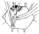 �����С���г�����ǰ�����С�����ȫ��ֱ��