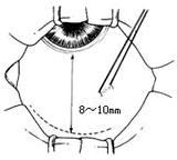 �����С���г�����ǰ�����С�����ȫ��ֱ��