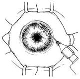 �����С���г�����ǰ�����С�����ȫ��ֱ��