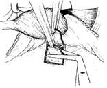 �����С���г�����ǰ�����С�����ȫ��ֱ��