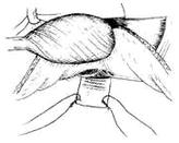 �����С���г�����ǰ�����С�����ȫ��ֱ��