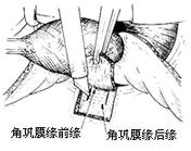 �����С���г�����ǰ�����С�����ȫ��ֱ��