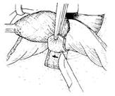 �����С���г�����ǰ�����С�����ȫ��ֱ��