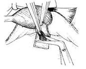 �����С���г�����ǰ�����С�����ȫ��ֱ��