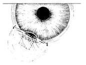 �����С���г�����ǰ�����С�����ȫ��ֱ��