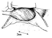 �����С���г�����ǰ�����С�����ȫ��ֱ��