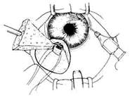 �����С���г�����ǰ�����С�����ȫ��ֱ��