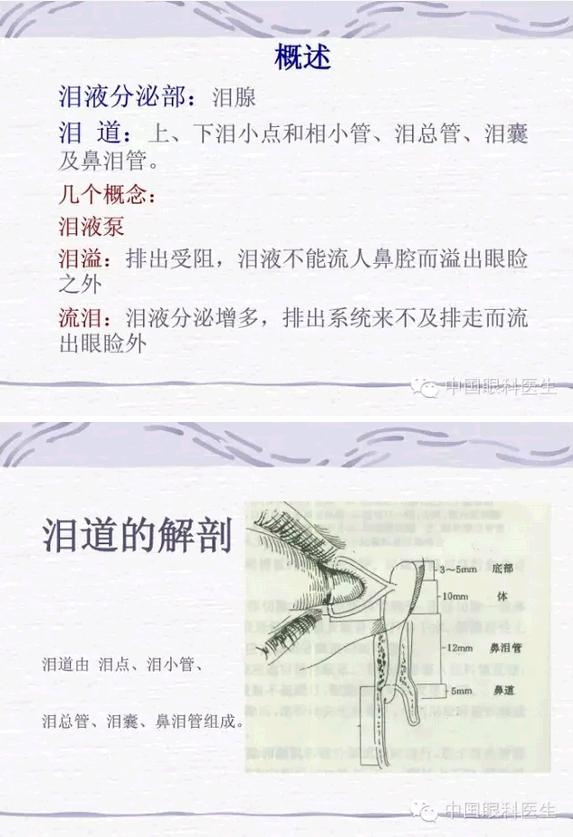 �����ؼ��������ƣ�pptͼ�����棩