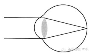 �ӹ�Ļ���֪ʶ(ͼ�İ�)