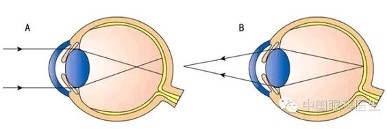 �ӹ�Ļ���֪ʶ(ͼ�İ�)