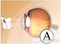 �ӹ�Ļ���֪ʶ(ͼ�İ�)